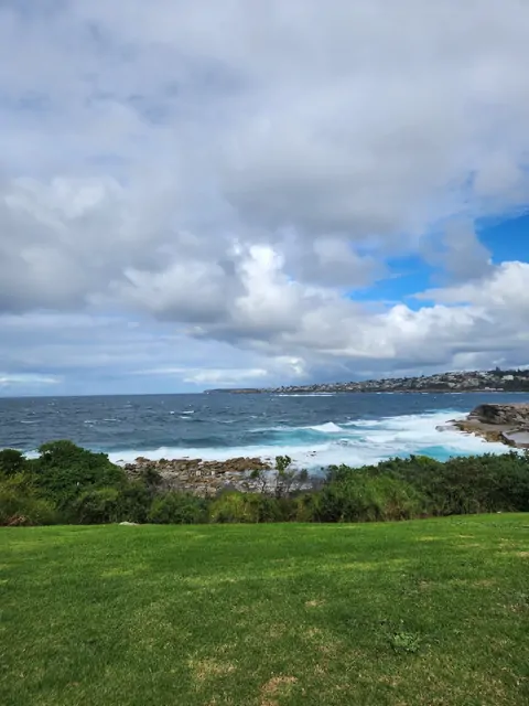 Rough waves and a cloudy sky viewed from a grassy hill at Bondi.