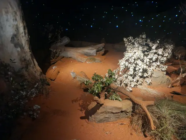 An indoor desert diorama with a starlit ceiling and white flowers.
