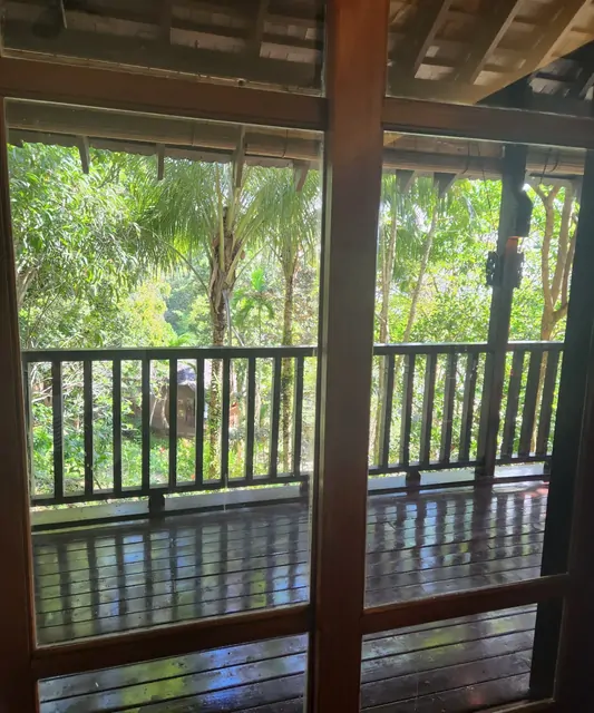 View of a wooden deck and lush palm garden from inside a forest lodge.