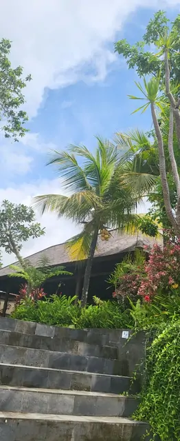 Thatched-roof buildings and palm trees in a tiered resort garden.