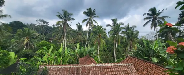 Red-tiled roofs and palm trees under a cloudy sky in Ubud.