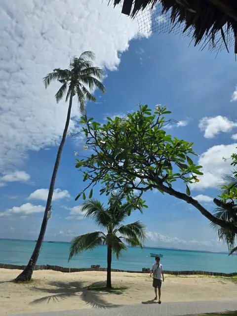 Standing on a tropical beach with palm trees and emerald water.