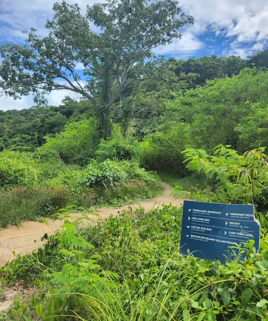 A blue directional sign on a dirt path during a jungle trek on Ko Phi Phi.