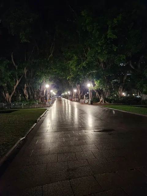 Streetlights reflecting on wet pavement in a city park after rain.