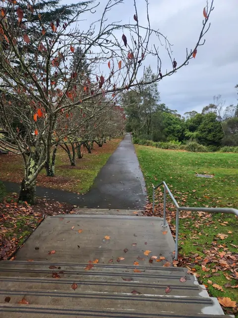 A park path covered in fallen autumn leaves under a grey sky.