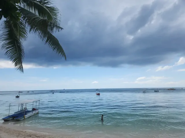 ヤシの木とボートが並ぶ、少し曇った空の海岸線