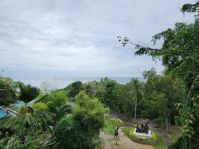 展望台から見渡す曇り空の海と熱帯の風景