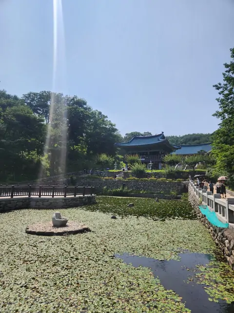 A traditional blue-tiled hanok building beside a lotus pond.