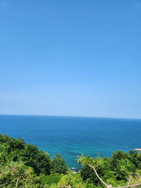 The blue East Sea meeting a green coastal forest.