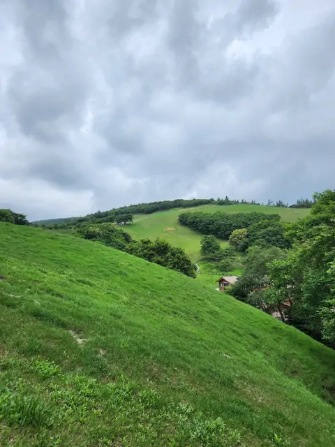 A small wooden building nestled in green summer hills.
