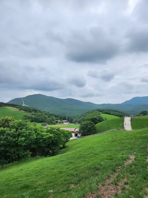 Wind turbines standing over a rolling green ranch landscape.