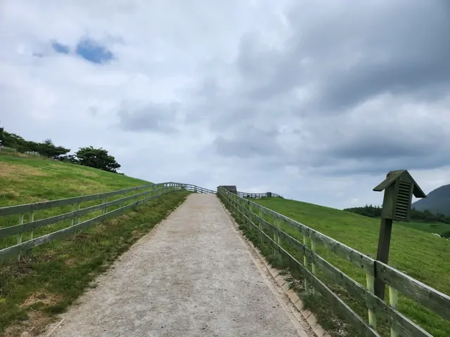 A wooden fence lining a path through the green highlands.