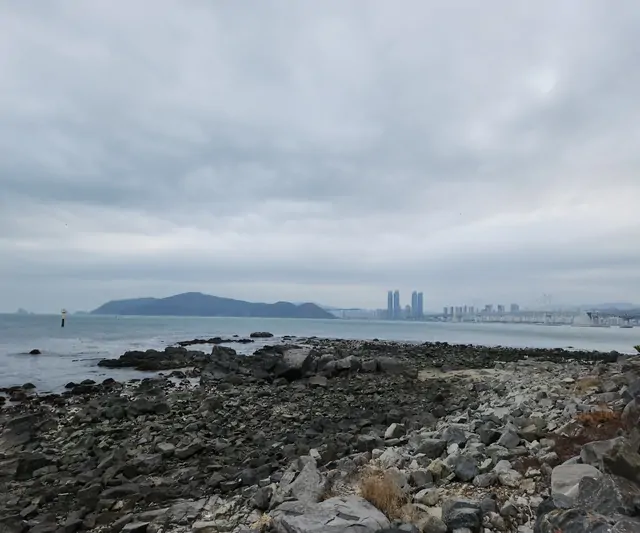 The intersection of the rocky winter coast and the urban skyline of Busan.