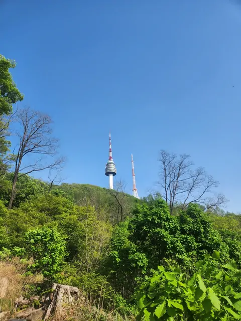 澄み渡る青空と、鮮やかな緑に囲まれた南山タワー