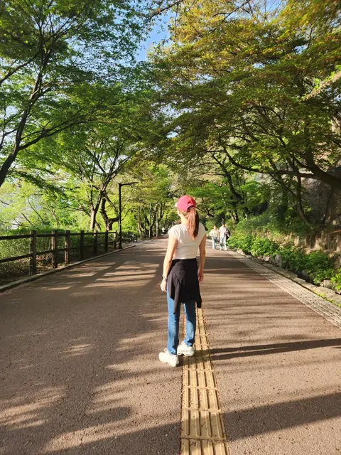 春の光が降り注ぐ、緑のトンネルのような公園の散歩道