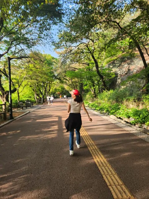 木漏れ日が心地よい、自然豊かな公園の小道