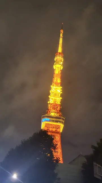 The orange-gold illumination of Tokyo Tower at night.