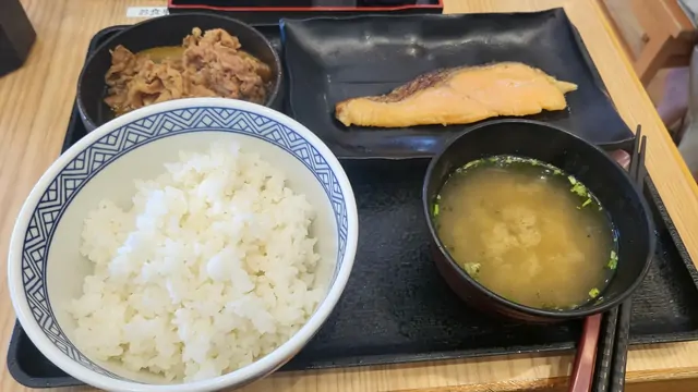 Japanese set meal with grilled salmon and simmered beef.