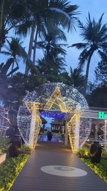Twinkling light arches between palm trees at the resort at night.