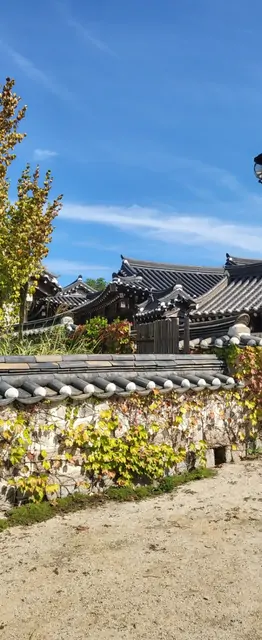 Autumn Colors and Quiet Corners in Daejeon