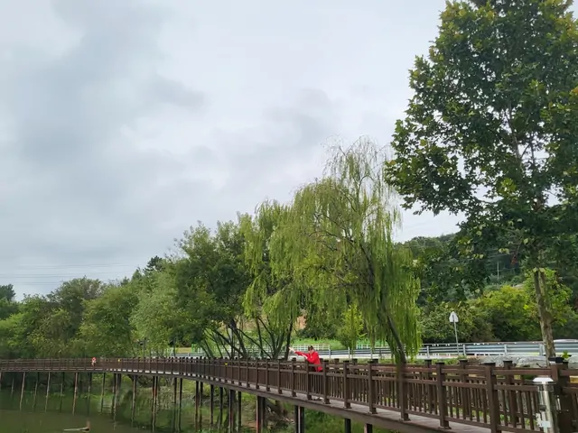 A person in red walking across a wooden bridge in the waterfront park.