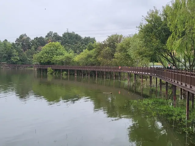 The wooden boardwalk stretching across the lake with green reflections.