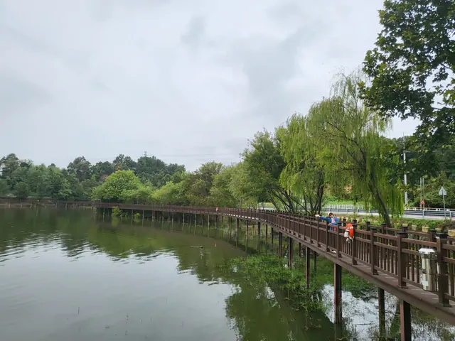A peaceful view of the lake park's floating deck and willow trees.