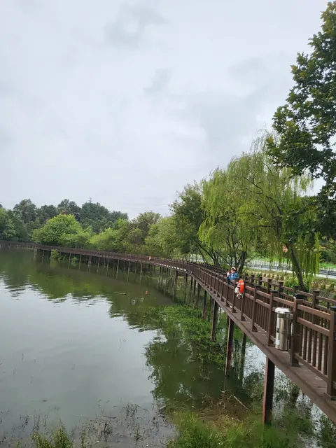 Visitors strolling along the wooden paths of the urban lakeside park.