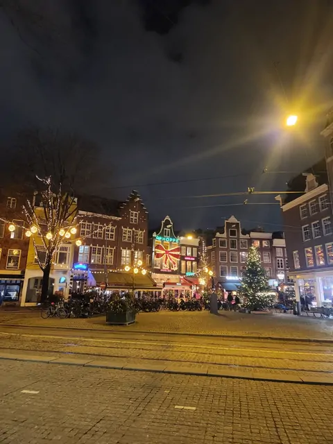 Christmas lights and trees glowing along a winter canal.