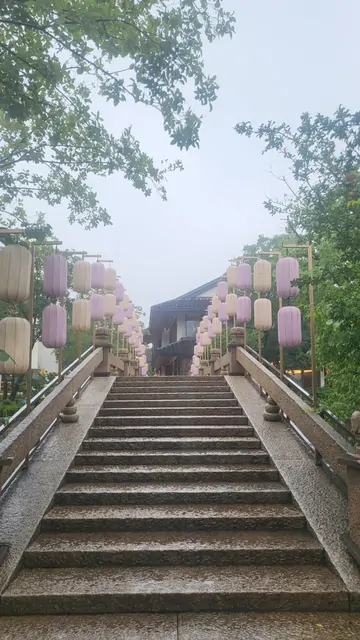 Pastel lanterns lining a misty temple staircase in the rain.
