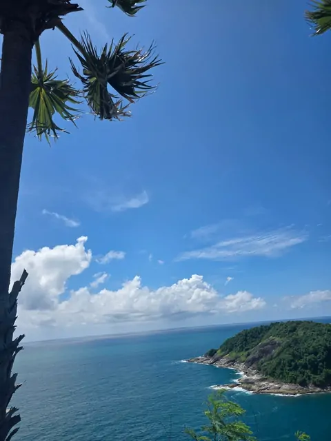 Coastal cliffs and emerald sea framed by tropical palm trees.