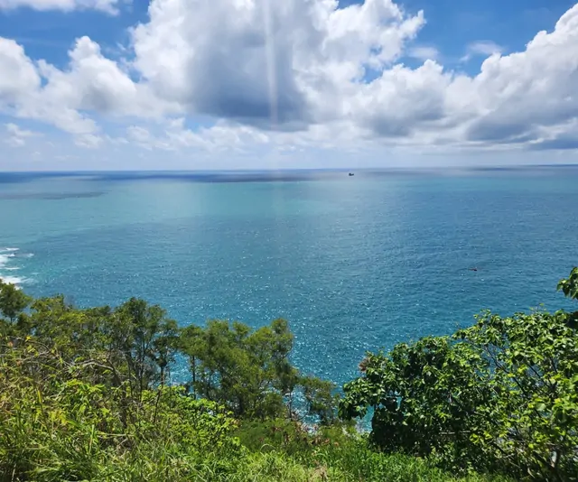 A high-altitude view of the tropical sea and lush forests.