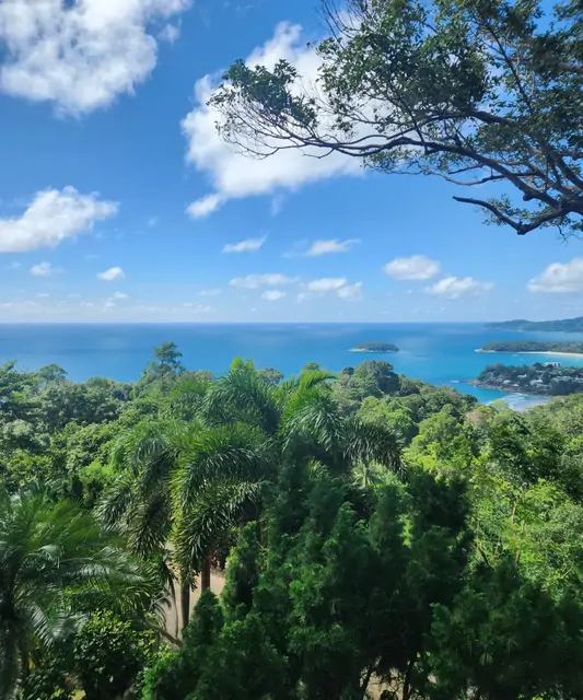 The harmony of tropical jungle and emerald sea from above.