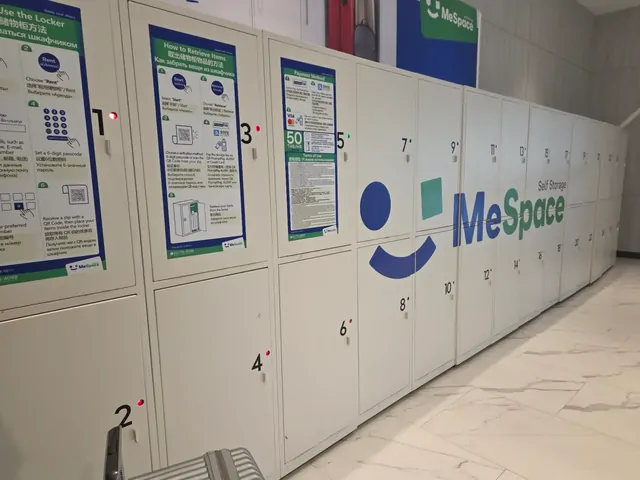 MeSpace self-storage coin lockers at the airport or mall.