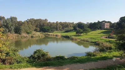 Tel Afek