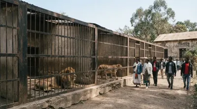 Zoo d'Addis-Abeba