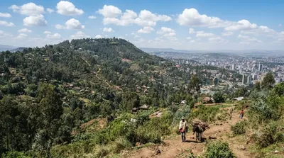 Mount Entoto