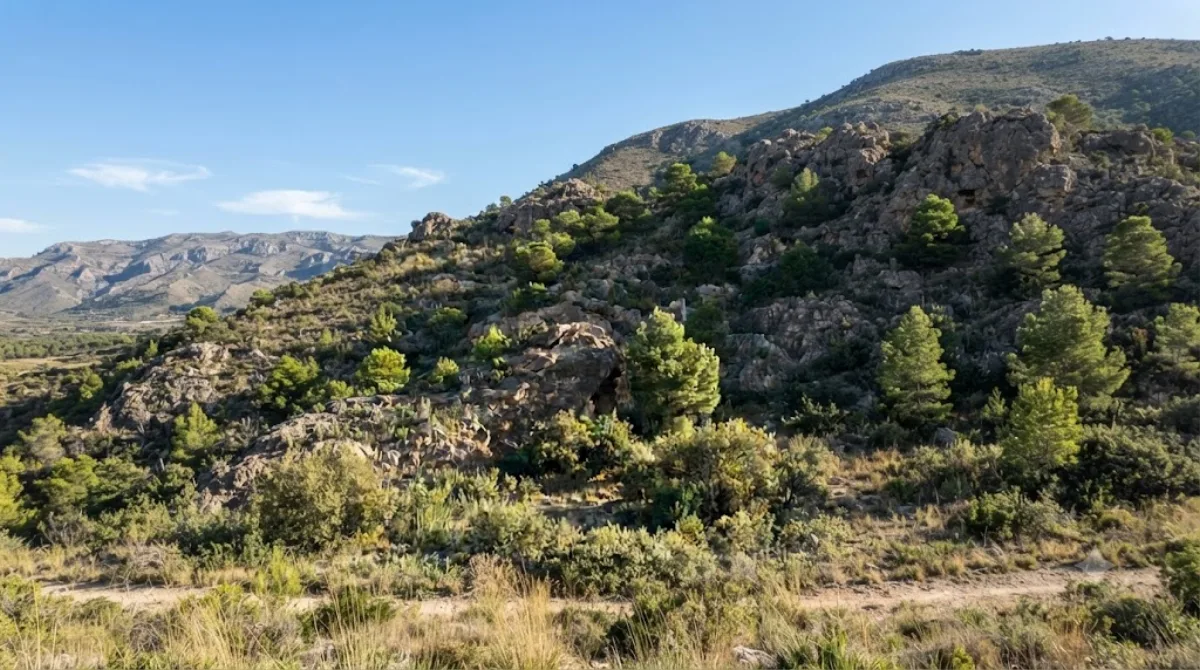 Sierra de Fontcalent