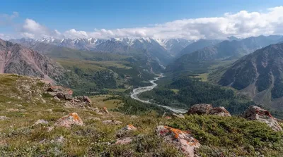 Almaty State Nature Reserve