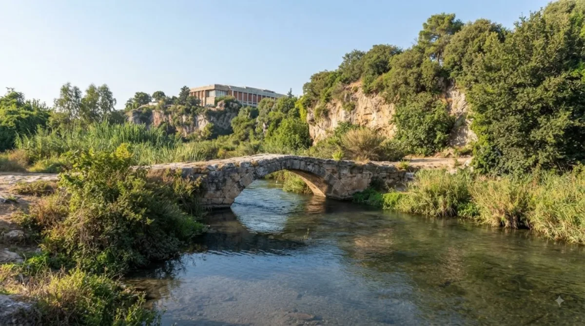 Puente de Arapsu