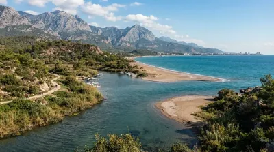 Boğa Brook