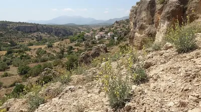 Varsak