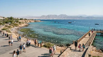 Aqaba Marine Reserve