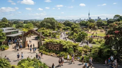Zoo d'Auckland