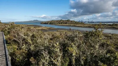 Motumānawa / Pollen Island