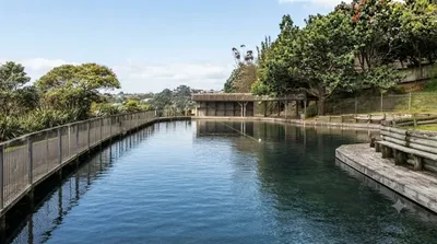 Panmure Basin