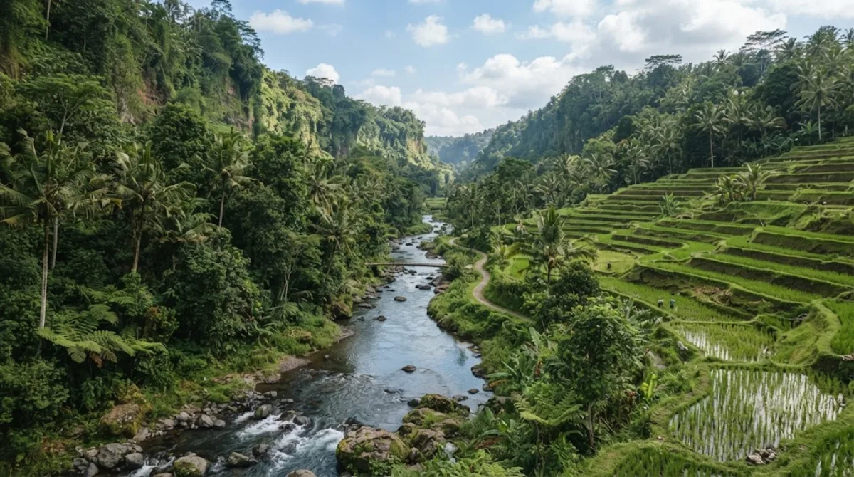 Petanu River