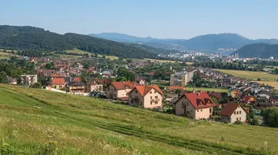 Rakytovce