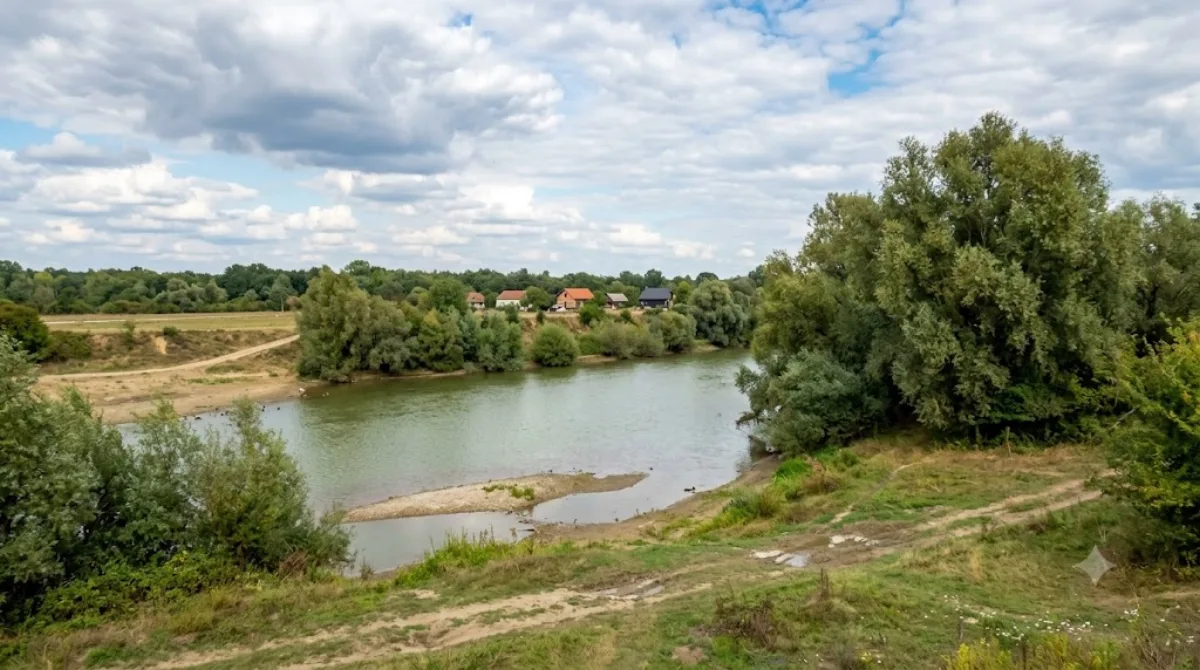 Timiș River