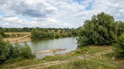 Timiș River